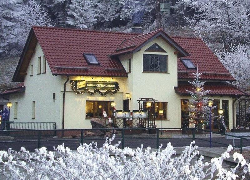 Hotel & Gasthaus Sterngrund Zella-Mehlis Exterior foto